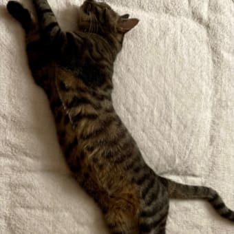 愚痴--(^^) 失敗でした