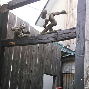 花見に最適の心だ～