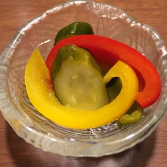 バルガス=リョサ『果てしなき饗宴 フロベールと「ボヴァリー夫人
