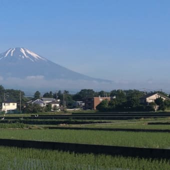 今朝の富士山（20240530）