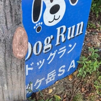 駒ヶ岳サービスエリアドッグラン