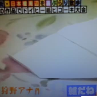 雑な紙飛行機だけど…