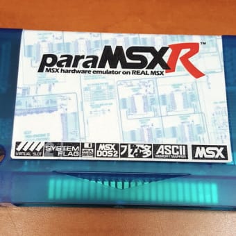 ParaMSX-R