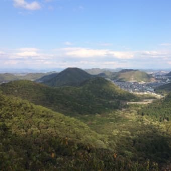 岐阜県金華山  豊かな森が実感できた日