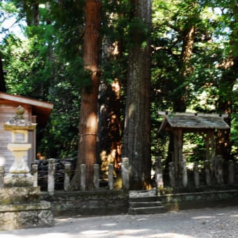大杉に見守られる神社