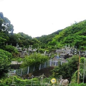 親友の眠るみかん山　・・・・・　2015年8月30日、宇和島の海に面した墓地に中島さんの死を悼む