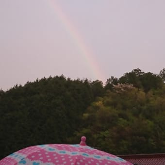 花ちゃんと虹