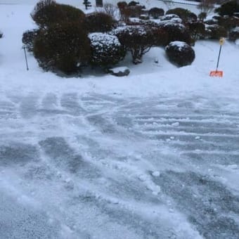 寒波襲来も春近しかな？