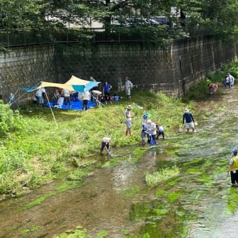 石神井川探検隊