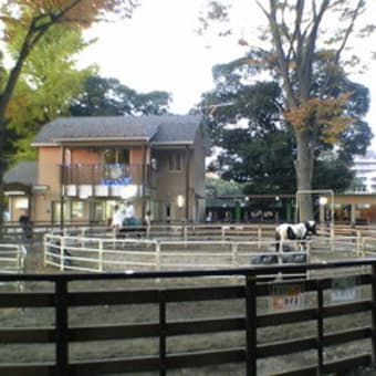 東京一日観光