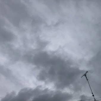 泣かないおまえ(TIKTOKヴァニー😱)
