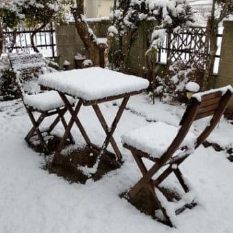 予報どおりに雪が降る