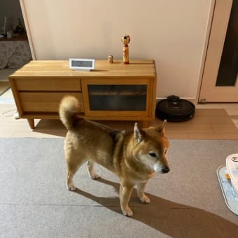 帯状疱疹かもしれません