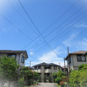 ６月　悠々会