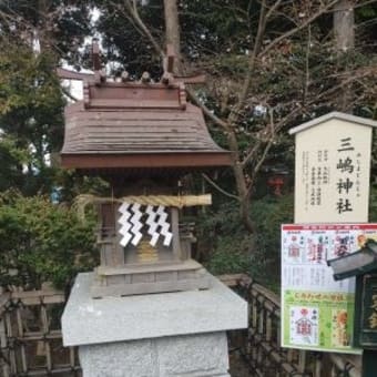 見どころが豊富な神社『亀ヶ池八幡宮』