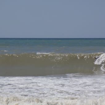 やっぱり夢だったか・・・🌊