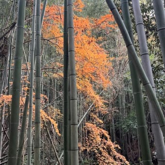 盗まないといけないもの。