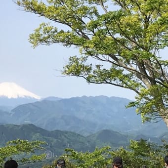 高尾山〜城山〜景信山（奥高尾 縦走）