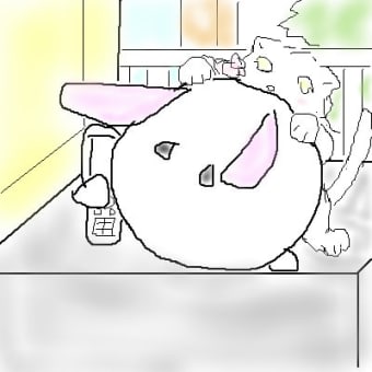 今日のラクト