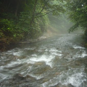 大雨と増水