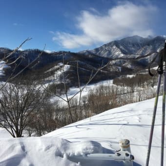 早朝ツアー<ほんまに早いよ！！　休止中