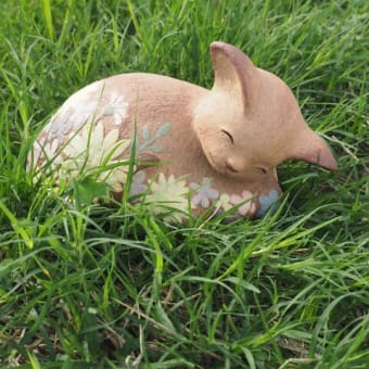 迷い猫のこと