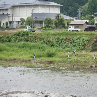 解禁前の一斉草刈り