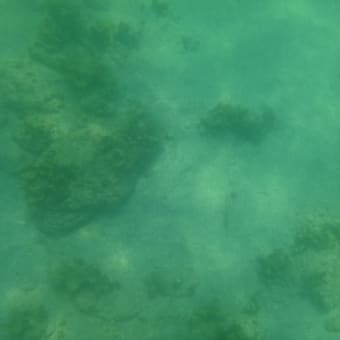 2016年8月5日　金曜日　「和田長浜海水浴場」