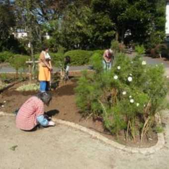 苗木畑公園　１０月の定例作業日