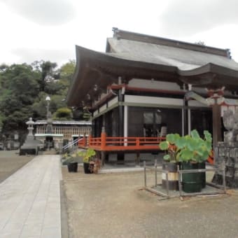 本妙寺浄池廟・本妙寺公園2024.8月