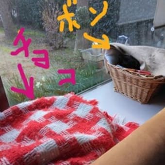 春の日差しの中で