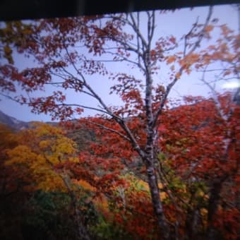 紅葉と熊よけ。（那須岳姥が平)