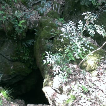 かぶと山　花の里山ハイキング