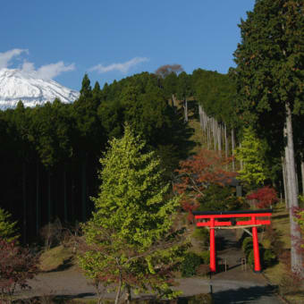 「身近な世界遺産の富士山」写真展を開催しています。
