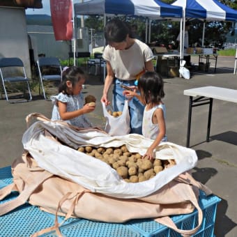 仁木町「にきや」でぶどう狩りです！～にきやファーム&ブリュワリー3周年記念大収穫祭～