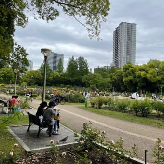 薔薇‥‥‥うつぼ公園 in 大阪