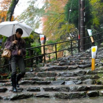 紅葉の神護寺