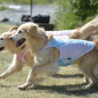 白馬の夏休みその２