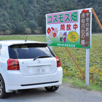 その９
