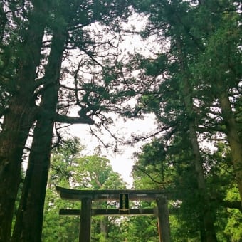 日光の思い出(ほぼ写真のみ)