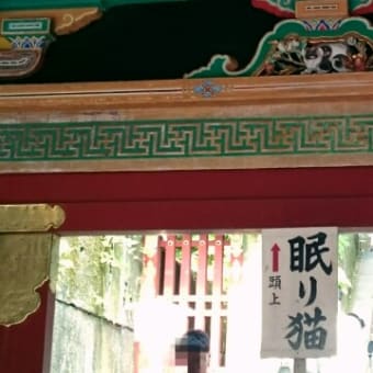 日光の思い出(ほぼ写真のみ)