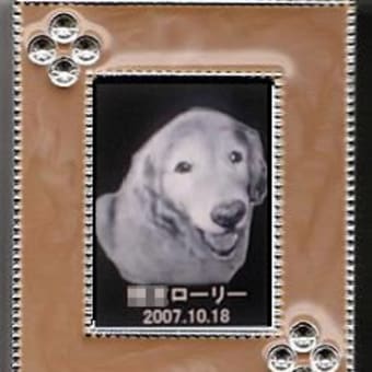 寂しい買い物