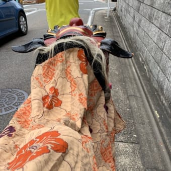 お祭り…かーらーの