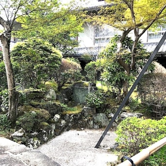 嵐山のお花見です。