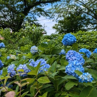 やっと終えた6月