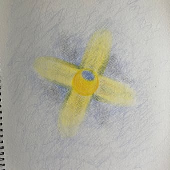 実質. まこ道🛣️