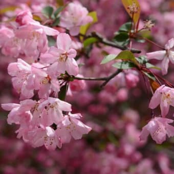 4月は最も残酷な月だ