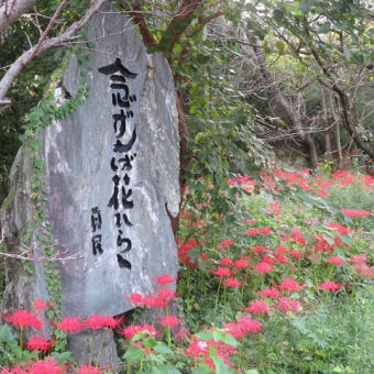 ７４回目の夏～「念ずれば花ひらく」