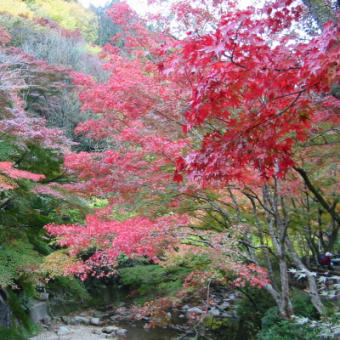 岩屋堂（愛知県瀬戸市）