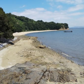 再び 山歩き・・・久しぶりの海。